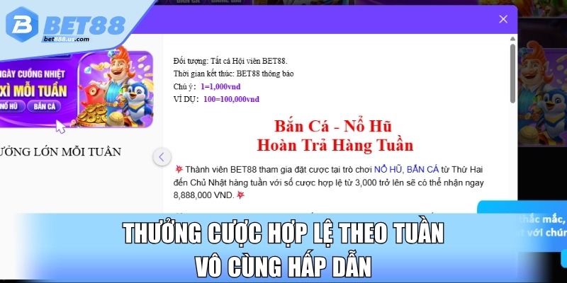 Thưởng cược hợp lệ theo tuần vô cùng hấp dẫn