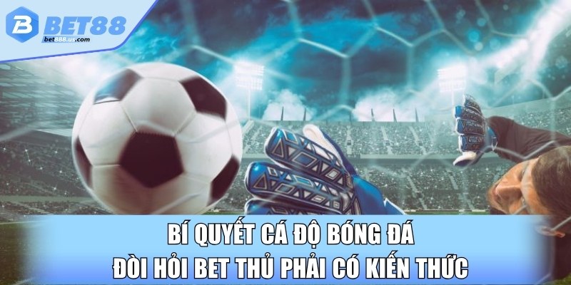 Bí quyết cá độ bóng đá đòi hỏi bet thủ phải có kiến thức