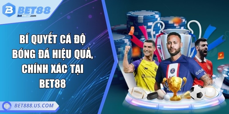 Bí quyết cá độ bóng đá