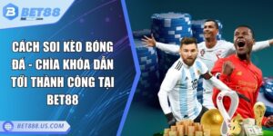 Cách soi kèo bóng đá
