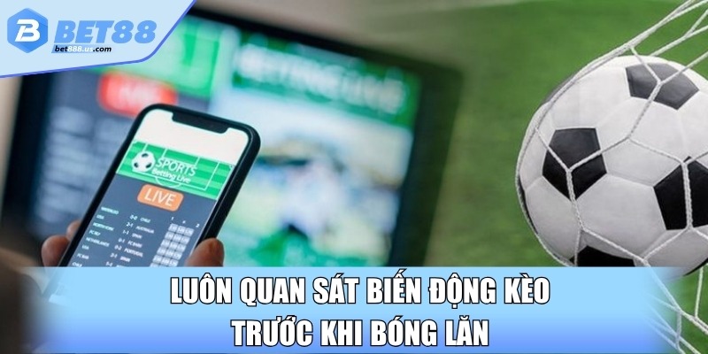 Luôn quan sát biến động kèo trước khi bóng lăn