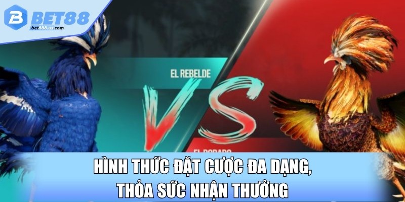 Hình thức đặt cược đa dạng, thỏa sức nhận thưởng
