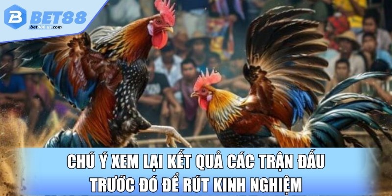 Chú ý xem lại kết quả các trận đấu trước đó để rút kinh nghiệm