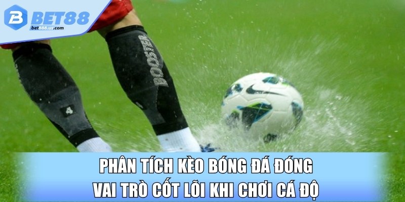 Phân tích kèo bóng đá đóng vai trò cốt lõi khi chơi cá độ