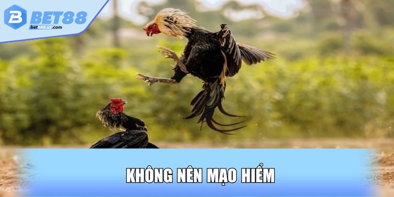 Không nên mạo hiểm