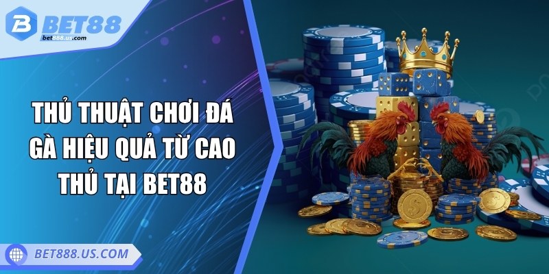 Thủ thuật chơi đá gà